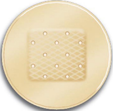 Bandages Adhesive Spot Careband™ 7/8 Inch Plastic Round Sheer Sterile (100/BX 12BX/CS) by ASO Corporation  ID CBD2022